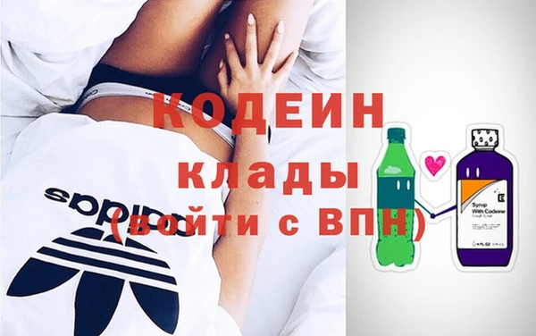 ГАЛЛЮЦИНОГЕННЫЕ ГРИБЫ Арсеньев