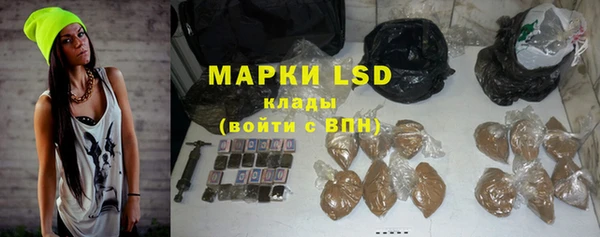 ГАЛЛЮЦИНОГЕННЫЕ ГРИБЫ Арсеньев