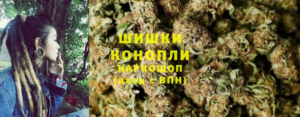 ГАЛЛЮЦИНОГЕННЫЕ ГРИБЫ Арсеньев