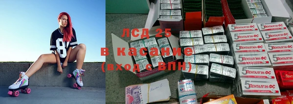 ГАЛЛЮЦИНОГЕННЫЕ ГРИБЫ Арсеньев