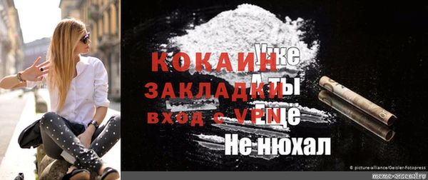 ГАЛЛЮЦИНОГЕННЫЕ ГРИБЫ Арсеньев